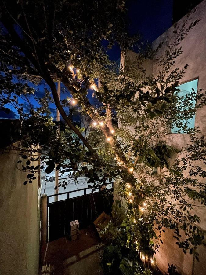 Katalox Jungle Lofts By Simply Comfort Tulum Centre Rooftop Patio & Pool Apartment Exterior photo